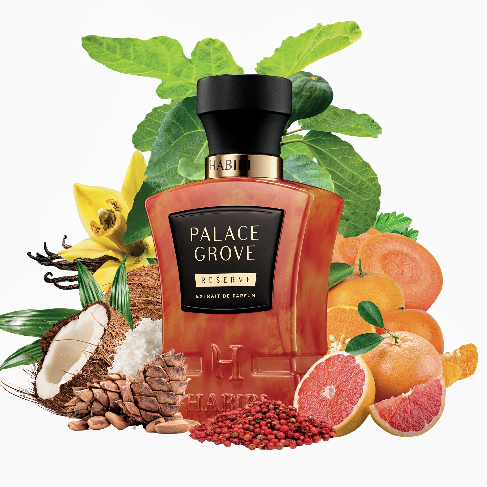 HABIBI - PALACE GROVE - Extrait De Parfum