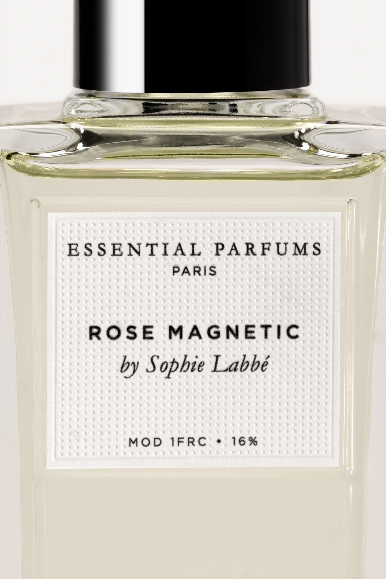 ROSE MAGNETIC by Sophie Labbé