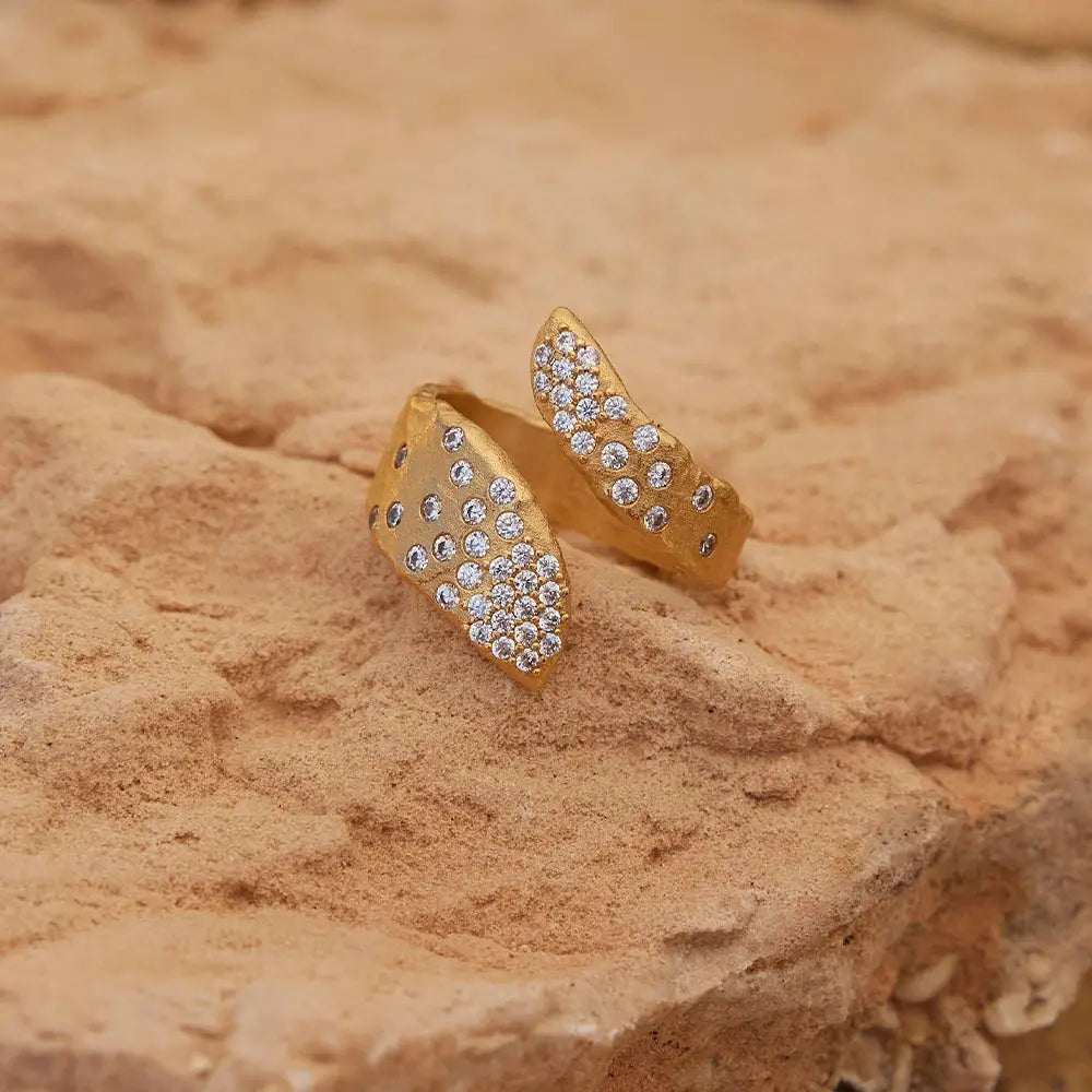 ANELLO RHÉA