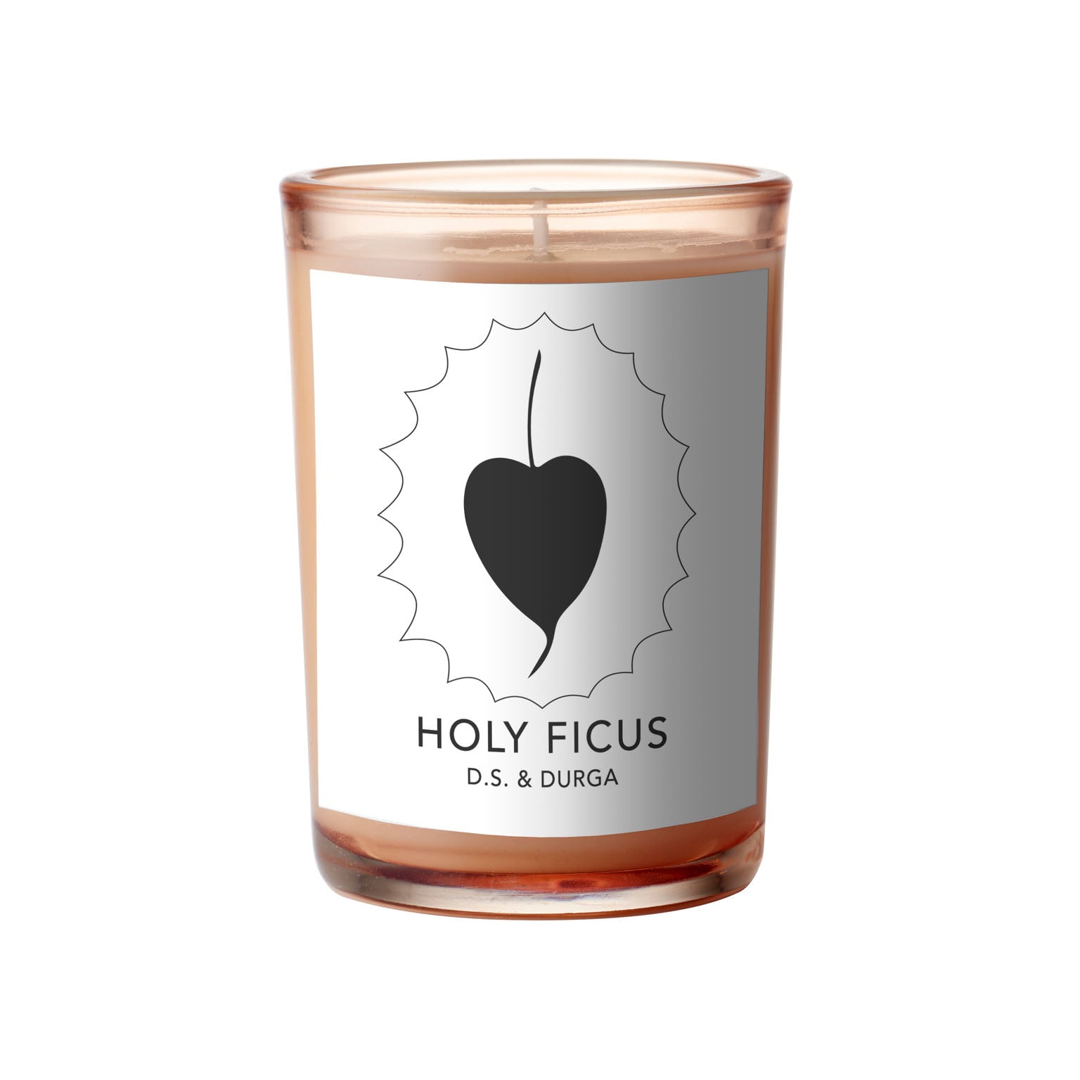 D.S. DURGA - HOLY FICUS