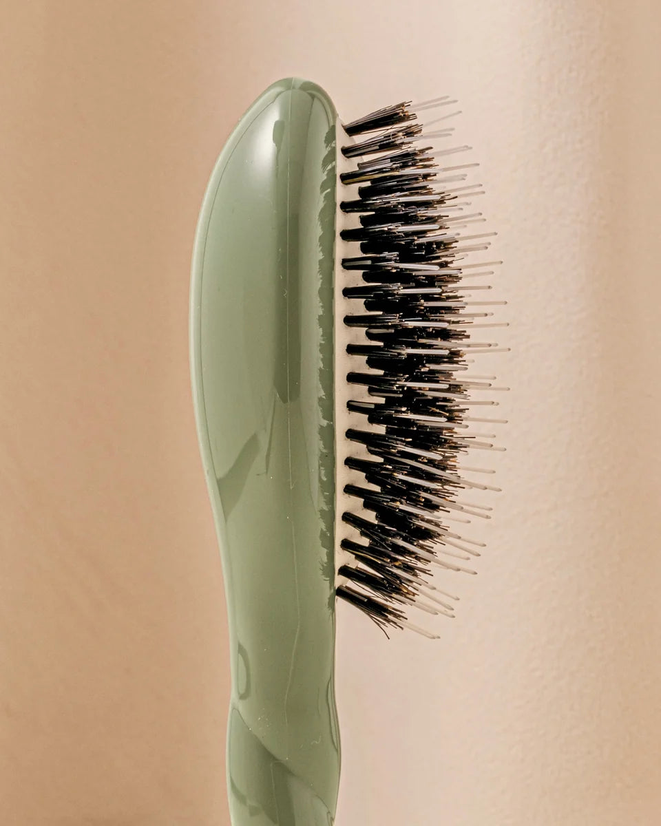 La Bonne Brosse -  N 2 La Piccola Districante e Trattante l’Indispensabile Spazzola Verde