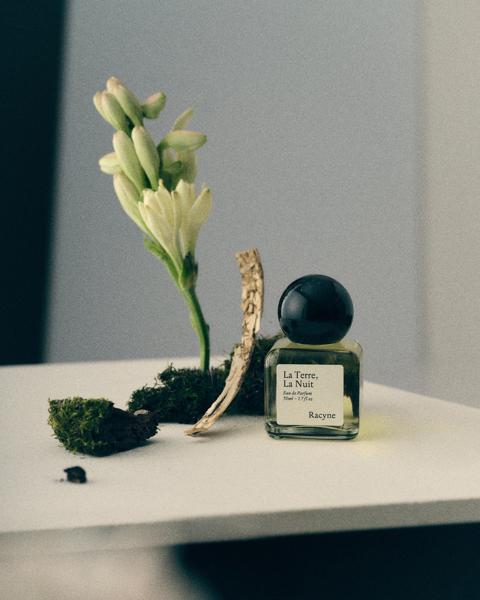 Racyne - La Terre, La Nuit Eau