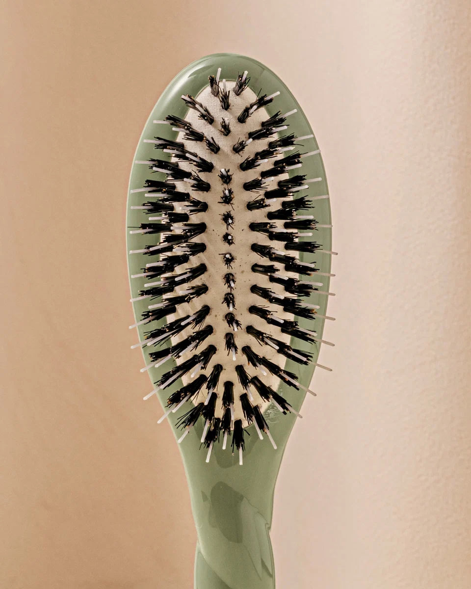 La Bonne Brosse -  N 2 La Piccola Districante e Trattante l’Indispensabile Spazzola Verde